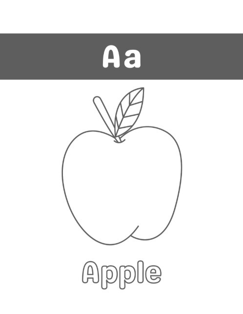 WhatsApp Image 2026-02-16 at 3.20.48 PM