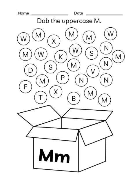 WhatsApp Image 2026-02-16 at 3.40.10 PM