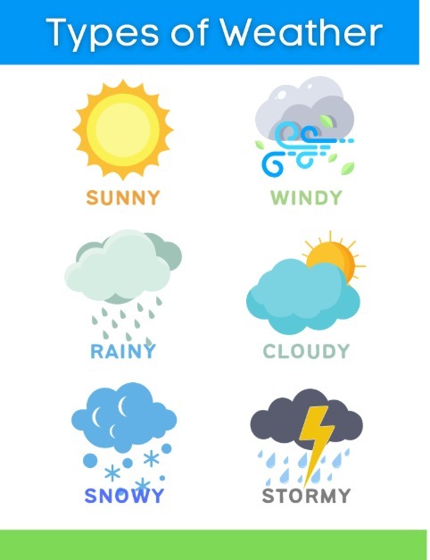 WhatsApp Image 2026-02-16 at 3.41.52 PM