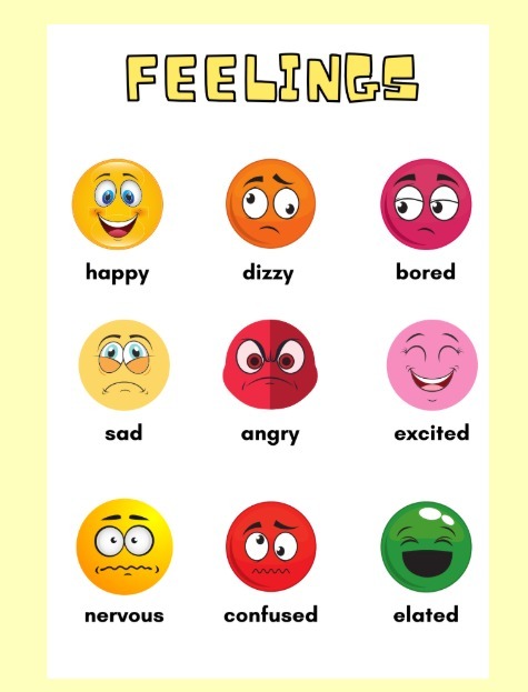 WhatsApp Image 2026-02-16 at 3.44.26 PM